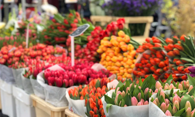 BANNER SEMANA SANTA_FLORES
