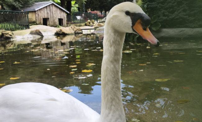 banner pasarela plaza gipuzkopa