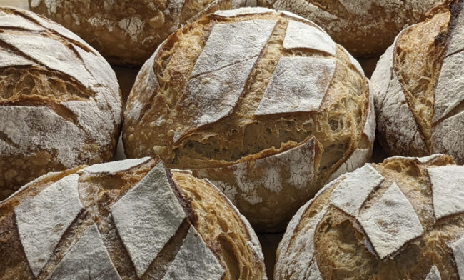 nuestros comercios kuskurro san sebastian shops donostia 2