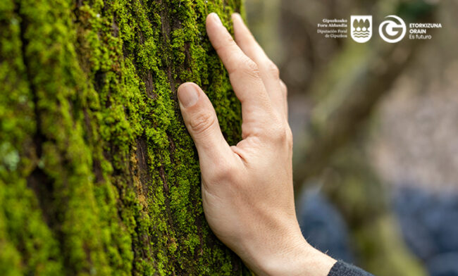 san sebastian shops donostia economia circular comercio local diputacion 2024