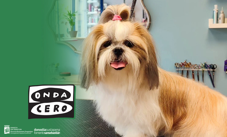 san sebastian shops donostia nuestros comercios Cucos Peluquería Canina comercio local gobierno vasco 2023