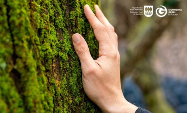 san sebastian shops donostia nuestros comercios ayudas laguntzak ECONOMIA CIRCULAR comercio local DIPUTACION GIPUZKOA 2026