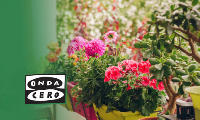 san sebastian shops onda cero mas de uno gipuzkoa donostia alde zaharra